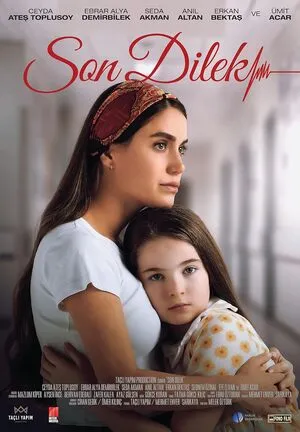 The Last Wish (Son Dilek) 2025 Hindi Dual Audio HD Poster Download - filmyfly