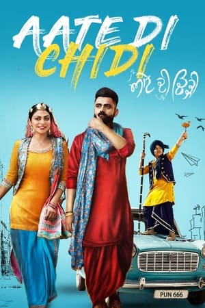 Aate di chidi (2018) Punjabi Movie - [400MB] HD Poster Download - filmyfly