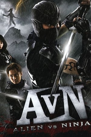 Alien vs Ninja 2010 Hindi Dual Audio [650MB] HD Poster Download - filmyfly