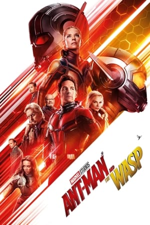 Ant Man and the Wasp (2018) Hindi (Org) Dual Audio [1.1GB] HD Poster Download - filmyfly
