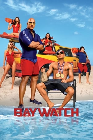 Baywatch 2017 Dual Audio Hindi Full Movie ORG - 1.0 GB HD Poster Download - filmyfly