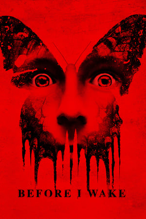 Before I Wake (2016) Hindi Dual Audio 350MB HD Poster Download - filmyfly
