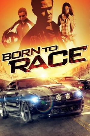 Born to Race 2011 Hindi Dual Audio [610MB] HD Poster Download - filmyfly