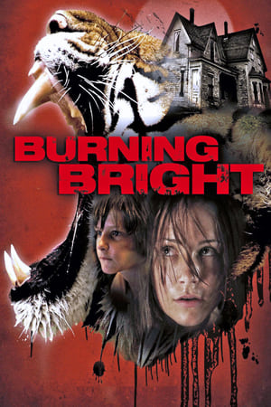 Burning Bright (2010) Hindi Dual Audio [750MB]
