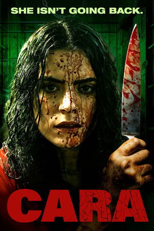 Cara (2024) Hindi (MULTI AUDIO) – –
