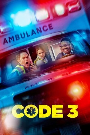 Code 3 (2025) Hindi (MULTI AUDIO) – – HD Poster Download - filmyfly