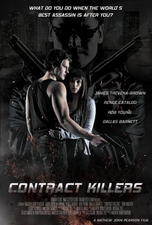 Contract Killers (2014) 100mb Hindi Dual Audio movie Download