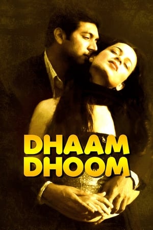 Dhaam Dhoom 2008 Dual Audio [Hindi - Tamil] 430MB Download HD Poster Download - filmyfly