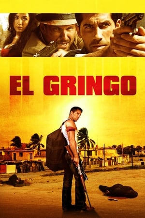 El Gringo (2012) Hindi Dual Audio 300MB HD Poster Download - filmyfly