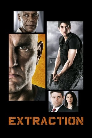 Extraction 2013 Hindi Dual Audio 330MB HD Poster Download - filmyfly