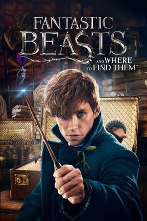 Fantastic Beasts and Where to Find Them 2016 HD- [600MB] HD Poster Download - filmyfly