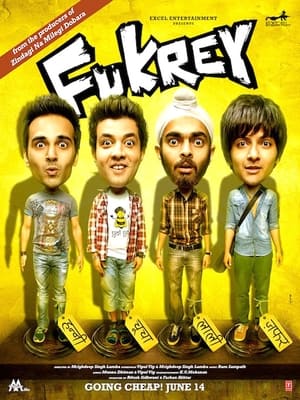 Fukrey (2013) Full Movie Download - 1GB HD Poster Download - filmyfly