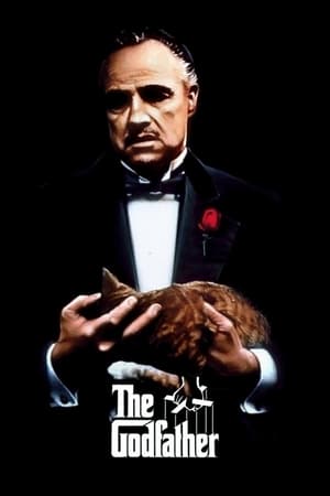Godfather 2022 Hindi Movie DVDScr – HD Poster Download - filmyfly