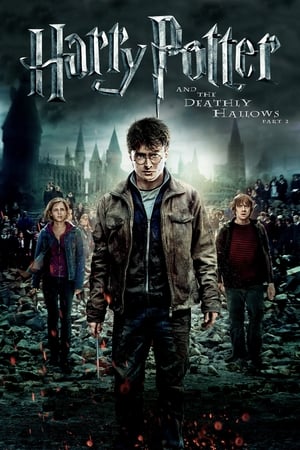 Harry Potter and the Deathly Hallows Part 2 (2011) Dual Audio [Hindi-Enlish] [140MB] HD Poster Download - filmyfly