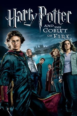 Harry Potter and the Goblet of Fire 2005 Hindi Dual Audio HD Poster Download - filmyfly