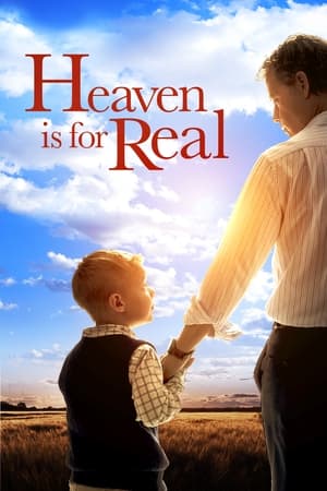 Heaven Is for Real (2014) Hindi Dual Audio [850MB] ESubs HD Poster Download - filmyfly