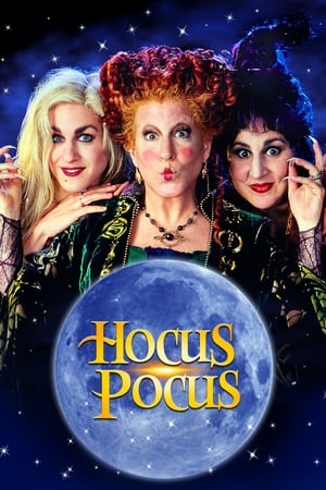 Hocus Pocus 1993 Hindi Dual Audio 320MB HD Poster Download - filmyfly