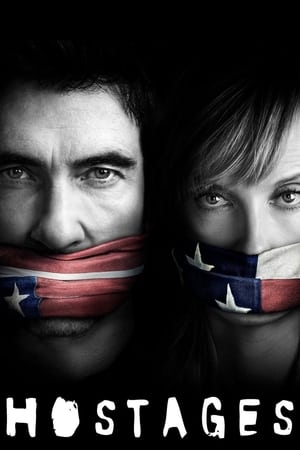 Hostages (2019) Hindi Web Series[Complete] HD Poster Download - filmyfly