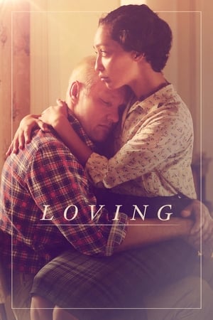 Loving (2016) Hindi Dual Audio [1.2GB] HD Poster Download - filmyfly