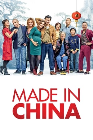 Made in China (2019) Hindi Movie [930MB] HD Poster Download - filmyfly
