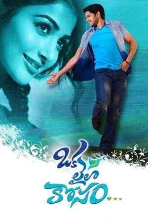 Oka Laila Kosam 2014 (Hindi – Telugu) Dual Audio 500MB HD Poster Download - filmyfly