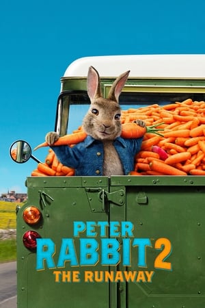 Peter Rabbit 2: The Runaway (2021) Hindi Dual Audio 400MB HD Poster Download - filmyfly