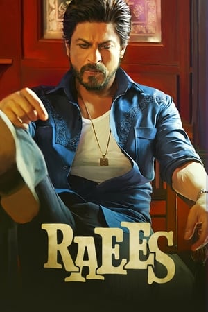 Raees 2017 200mb hindi movie HD Poster Download - filmyfly