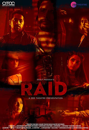 Raid 2019 Hindi Movie [650MB] HD Poster Download - filmyfly