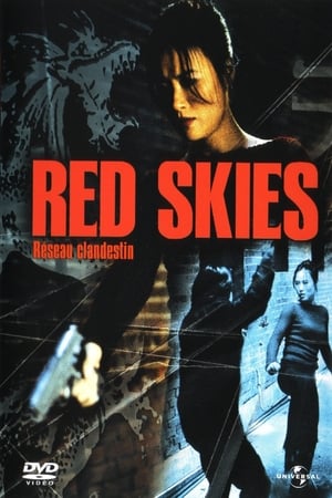 Red Skies 2002 Dual Audio (Hindi) [] 800MB HD Poster Download - filmyfly