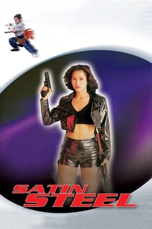 Satin Steel (1994) Hindi Dual Audio 260MB HD Poster Download - filmyfly