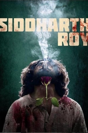 Siddharth Roy 2024 Hindi Dubbed HD Poster Download - filmyfly
