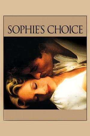 Sophie's Choice (1982) Dual Audio Hindi 460MB HD Poster Download - filmyfly