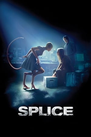 Splice 2009 Hindi Dual Audio 330MB HD Poster Download - filmyfly