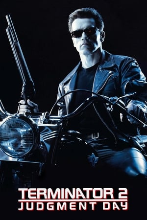 Terminator 2 (1991) Hindi Dual Audio 500MB HD Poster Download - filmyfly