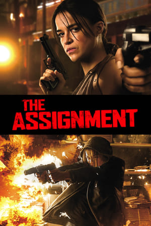 The Assignment (2016) Hindi Dual Audio 300MB HD Poster Download - filmyfly