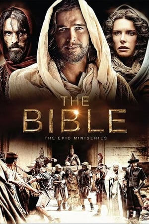 The Bible 2013 S01E05 (Hindi) Dubbed [250MB] HD Poster Download - filmyfly