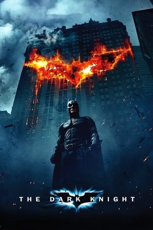 The Dark Knight (2008) Hindi Dual Audio [1.0GB] Download HD Poster Download - filmyfly