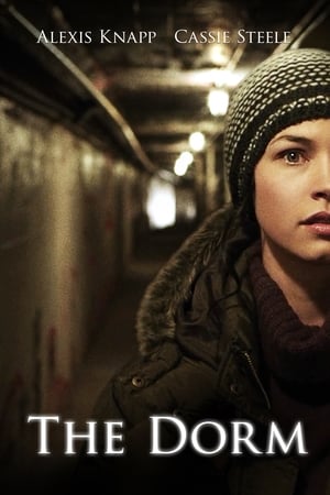 The Dorm 2014 Hindi Dual Audio 250MB HD Poster Download - filmyfly