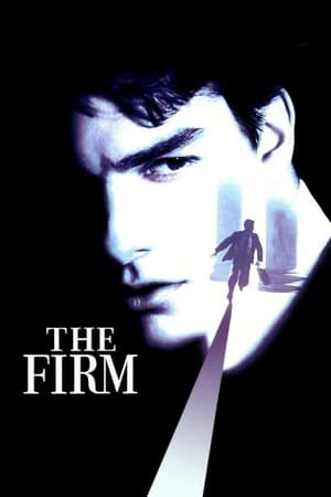 The Firm (1993) Hindi Dual Audio 450MB