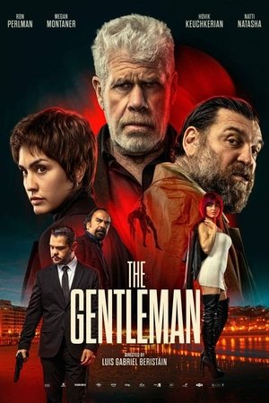 The Gentleman (2025) Hindi (MULTI AUDIO) – – HD Poster Download - filmyfly