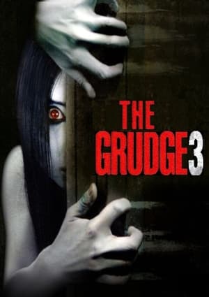 The Grudge 3 2009 Hindi Dual Audio [890MB] HD Poster Download - filmyfly