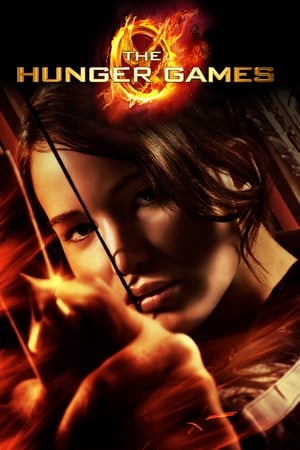 The Hunger Games 2012 Hindi Dual Audio 470MB HD Poster Download - filmyfly