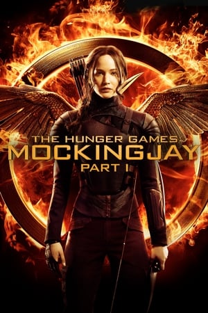 The Hunger Games: Mockingjay - Part 1 (2014) Hindi Dual Audio 350MB