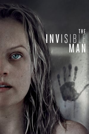 The Invisible Man (2020) Hindi (ORG) Dual Audio [1GB] HD Poster Download - filmyfly