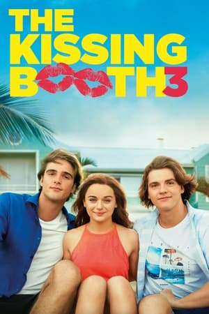 The Kissing Booth 3 2021 Hindi Dual Audio 350MB HD Poster Download - filmyfly