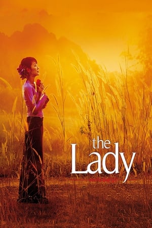 The Lady 2011 Dual Audio Hindi 400MB HD Poster Download - filmyfly