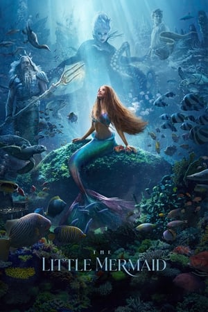 The Little Mermaid (2023) Hindi (ORG 5.1) HD Poster Download - filmyfly