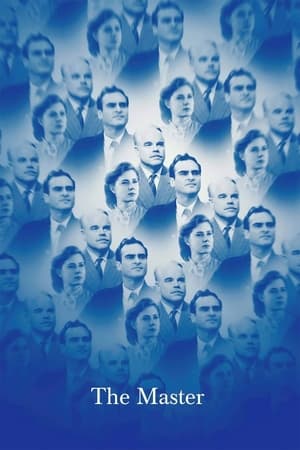 The Master 2014 Dual Audio Hindi 300MB HD Poster Download - filmyfly