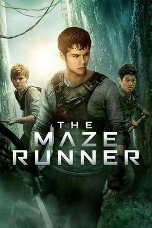 The Maze Runner (2014) Hindi Dual Audio 400MB HD Poster Download - filmyfly