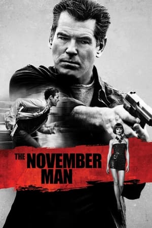 The November Man 2014 Dual Audio [Hindi – English] – 720p – HD Poster Download - filmyfly